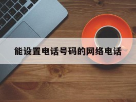 能设置电话号码的网络电话
