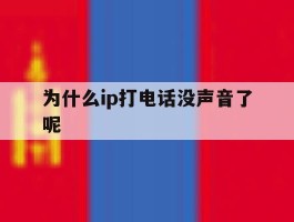 为什么ip打电话没声音了呢