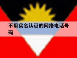 不用实名认证的网络电话号码