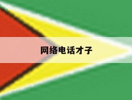 网络电话才子