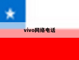 vivo网络电话