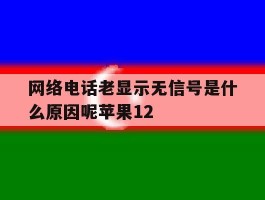 网络电话老显示无信号是什么原因呢苹果12的简单介绍