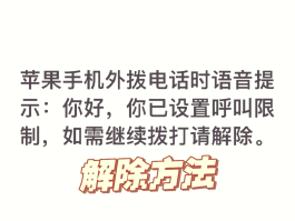 ip打电话听不到声音怎么办呢苹果
