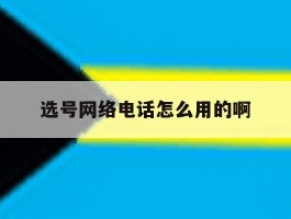 选号网络电话怎么用的啊