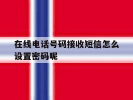 在线电话号码接收短信怎么设置密码呢