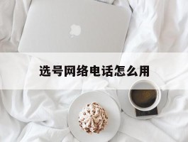 选号网络电话怎么用