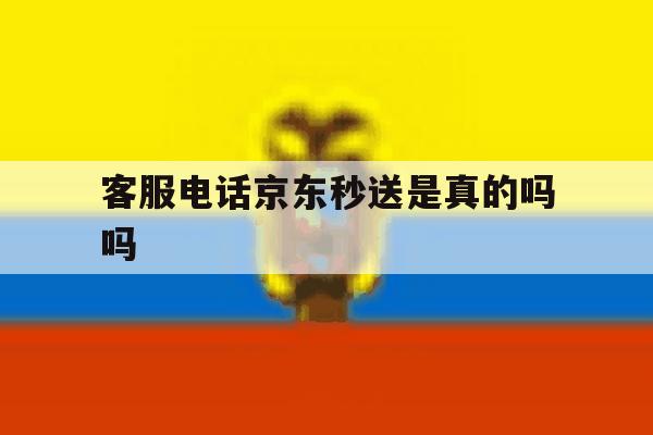 客服电话京东秒送是真的吗吗 客服电话京东秒送是真的吗吗