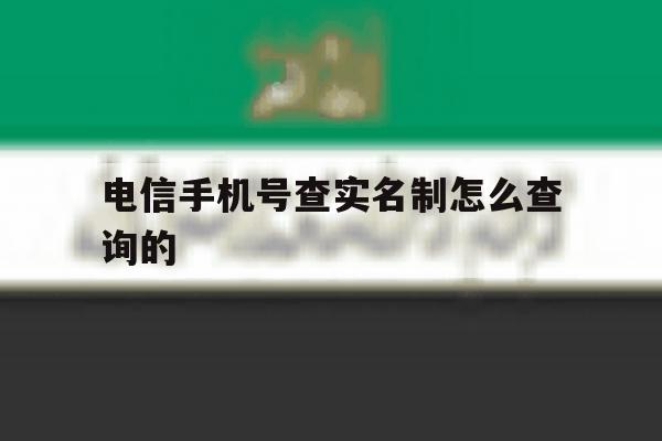 电信手机号查实名制怎么查询的 电信手机号查实名制怎么查询的