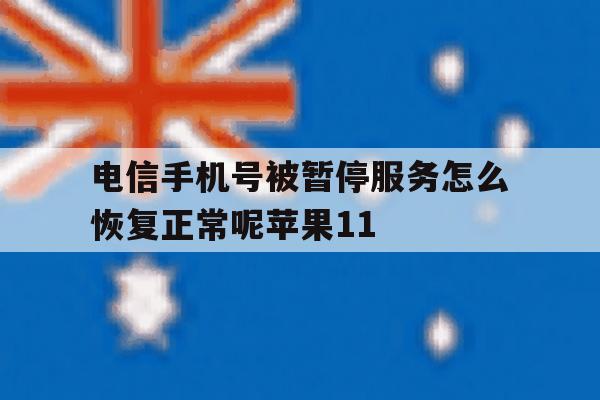 关于电信手机号被暂停服务怎么恢复正常呢苹果11的信息 关于电信手机号被暂停服务怎么恢复正常呢苹果11的信息