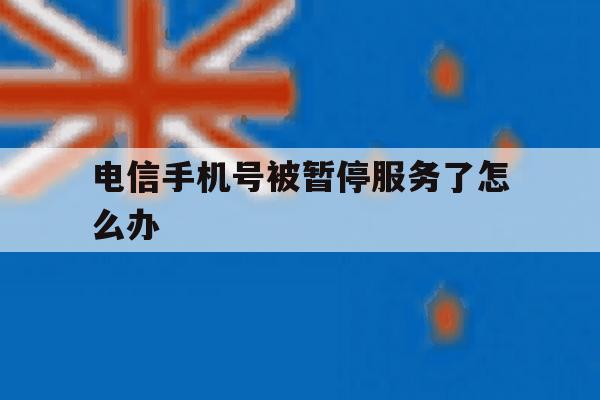 电信手机号被暂停服务了怎么办 电信手机号被暂停服务了怎么办