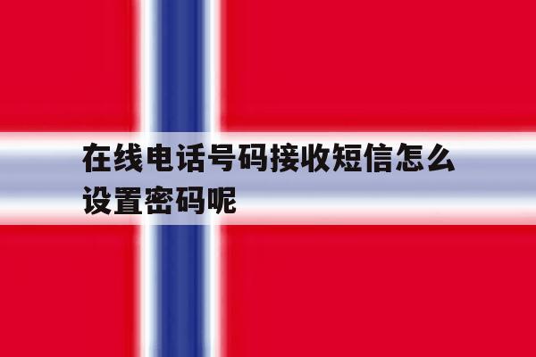 在线电话号码接收短信怎么设置密码呢 在线电话号码接收短信怎么设置密码呢